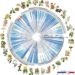 Time-calibrated phylogenetic tree for angiosperms based on Angiosperms353 nuclear gene datasets