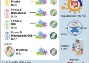 Diurnal rhythmicity of infant fecal microbiota and metabolites