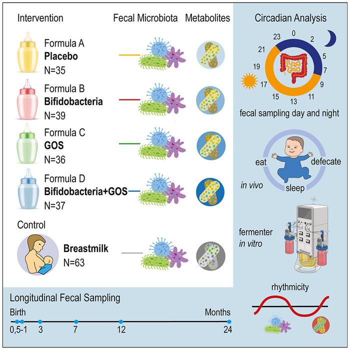 Diurnal rhythmicity of infant fecal microbiota and metabolites