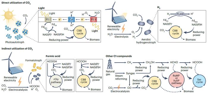 KAIST introduces microbial food as a strategy food production of the future