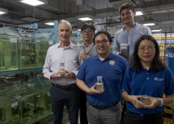 NTU Singapore and Temasek Polytechnic scientists replace fishmeal in aquaculture with microbial protein derived from soybean processing wastewater