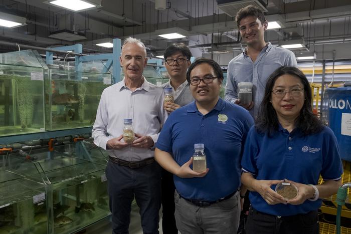 NTU Singapore and Temasek Polytechnic scientists replace fishmeal in aquaculture with microbial protein derived from soybean processing wastewater