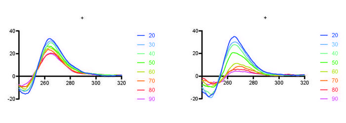 RNA folding