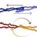 Schematic of poly[2]catenane slip tumbling and bonded ring gradient tumbling.