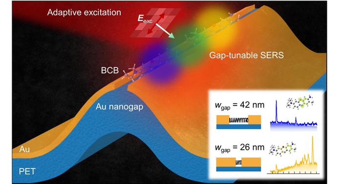 Real-time detection of infectious disease viruses by searching for molecular fingerprinting