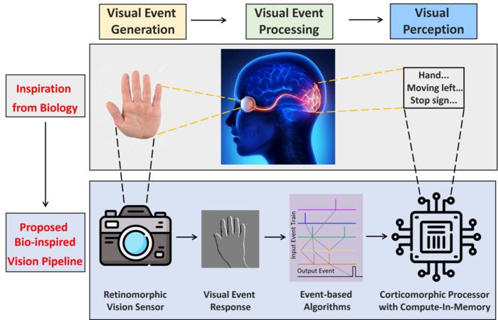 Reinventing computer vision to mimic human vision