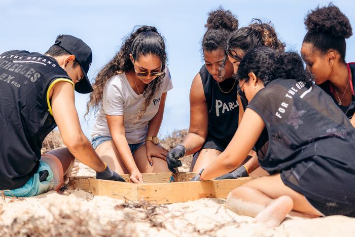 Seychelles beach cleans demonstrate potential for citizen science to tackle marine litter