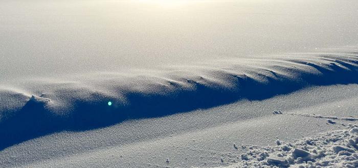 Winter landscape