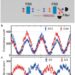 Figure | Experimental schematics and result of the frequency-domain entanglement.