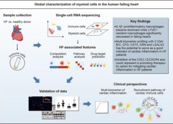 Graphical abstract summarizes the workflow and major findings of the study