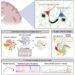 Wake up and die: Human brain neurons re-entering the cell cycle age quickly shift to senescence