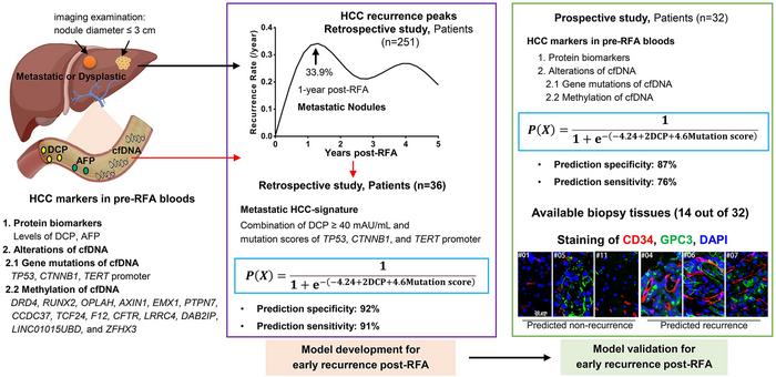 A Blood Hepatocellular Carcinoma Signature Recognizes Very Small Tumor Nodules with Metastatic Traits