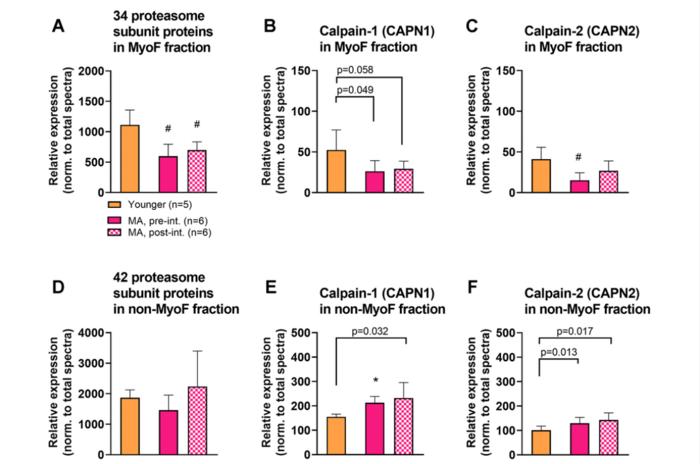 A novel deep proteomic approach in human skeletal muscle unveils distinct molecular signatures affected by aging and resistance training