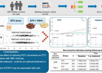 Beneficial Effects of Traditional Chinese Medicine Fuzheng Huayu on the Occurrence of Hepatocellular Carcinoma in Patients with Compensated Chronic Hepatitis B Cirrhosis Receiving Entecavir