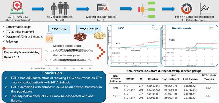 Beneficial Effects of Traditional Chinese Medicine Fuzheng Huayu on the Occurrence of Hepatocellular Carcinoma in Patients with Compensated Chronic Hepatitis B Cirrhosis Receiving Entecavir