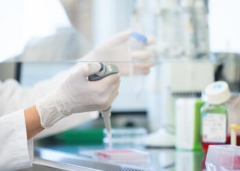 Working under sterile conditions in the cell culture lab.