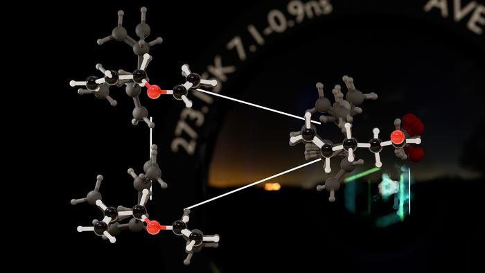 Bridging the gap: From frequent molecular changes to observable phenomena