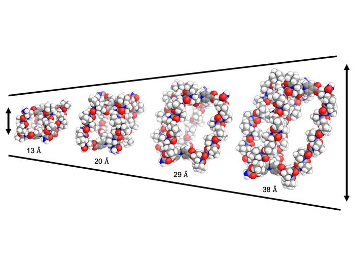 Image to accompany release "Chicken feathers to deliver chemotherapy drugs and repair enzymes"