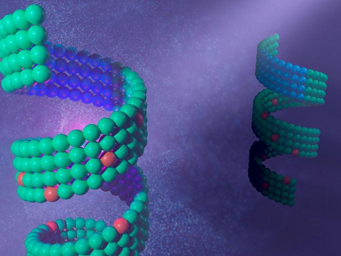 Designer peptoids mimic nature’s helices