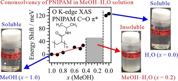 Exploration of polymer cononsolvency mechanism through soft X-ray absorption spectroscopy