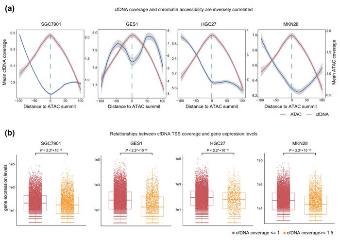 Exploring chromatin accessibility and its diagnostic potential in cancer through the utilization of cell-free DNA