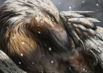 Dromaeosaur in the snow (portrait)