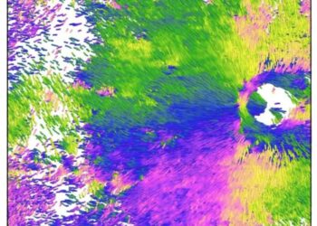 Visualization of the orientation and density of structural fibers in the sclera, the outermost eye layer