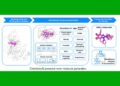 Chemistry42-powered novel molecule generation