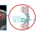 Ultrasound image of micro-histotripsy liberation of biomarkers in a tumor