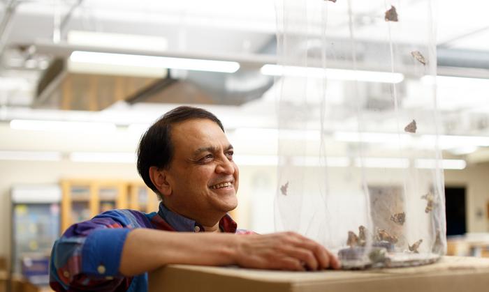 MBL Director Nipam Patel elected to National Academy of Sciences