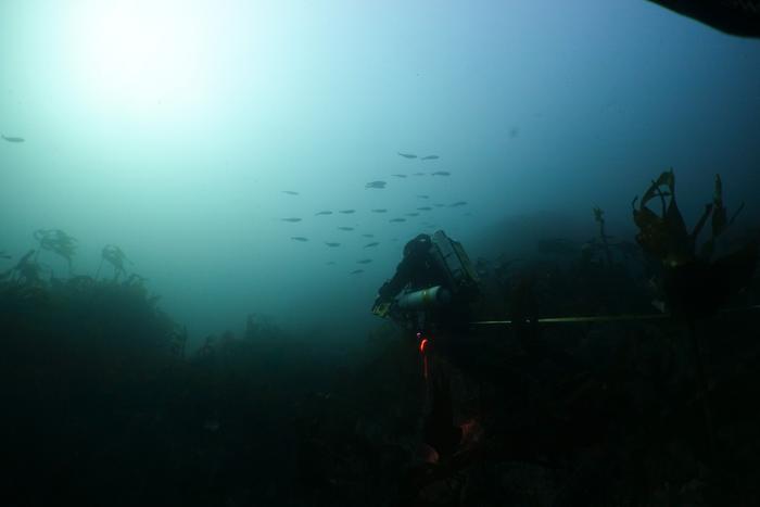 Marine Protected Areas don’t line up with core habitats of rare migratory fish, finds new research