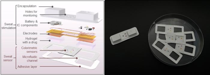 Monitoring diseases through sweat becomes accessible to everyone