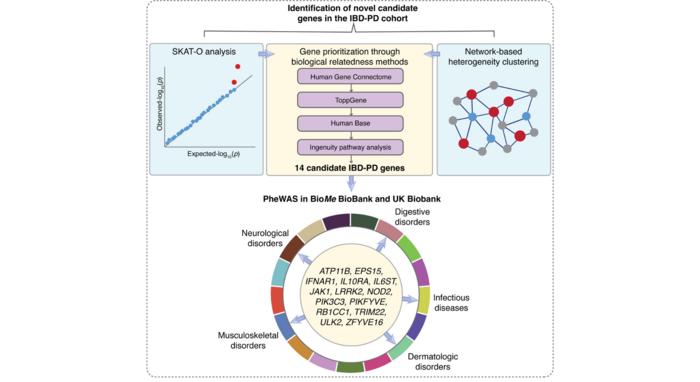 Mount Sinai study identifies genetic link between inflammatory bowel disease and Parkinson’s disease