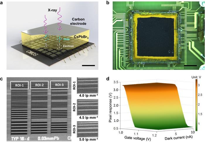 Researchers develop perovskite X-ray detector for medical imaging