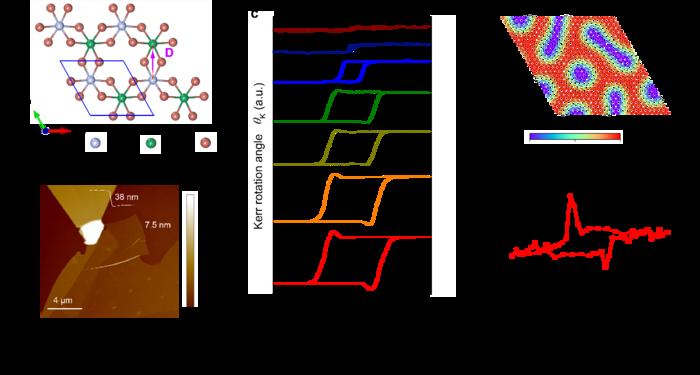 Researchers Discover "Topological Hall Effect" in Two-dimensional Quantum Magnets