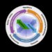 Carbon Cycle