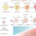 TP53 inactivation initiates ordered genomic evolution.