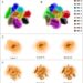 Visualization of the relation between test and robust accuracy.