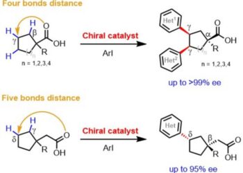 Making gamma chiral centers on simple carboxylic acids