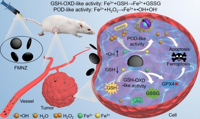 Structural engineering unlocks potent tumor treatment with dual-function magnetite nanozymes