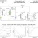 [Figure 1] Process for Formic Acid Production via Carbon Dioxide Conversion