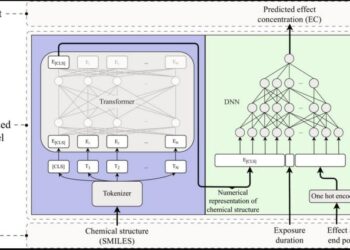 Model architecture for the AI method that predicts toxicity of chemicals