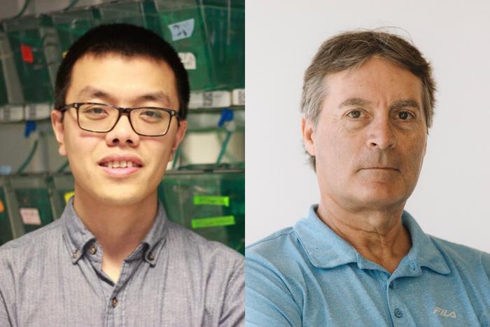 Research Associate Jiabao Liu and Professor Henry Krause