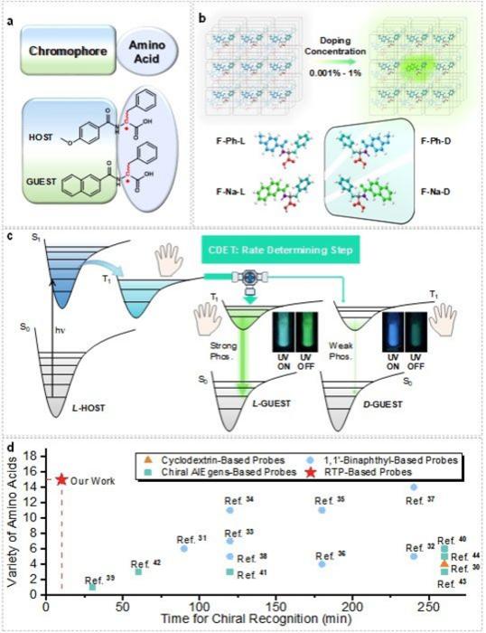 USTC Achieves Rapid and Reliable Room-Temperature Phosphorescence Chiral Recognition