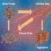 Unfavorable conditions can lead to protein misfolding and aggregate formation