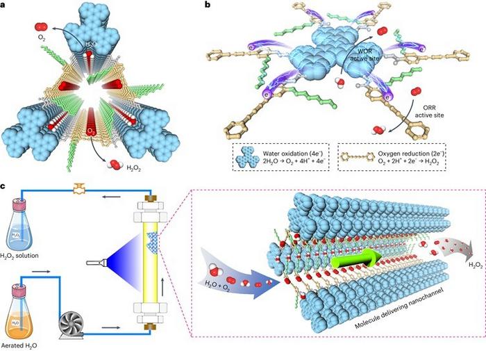 Artificial photosynthesis to produce hydrogen peroxide