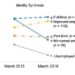 Effect of employment status on identity in 875 surveyed Japanese participants