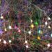 Super-multicolor labelling of neuronal circuits with seven fluorescent proteins