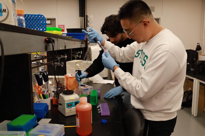 Students in Ramalingam’s lab