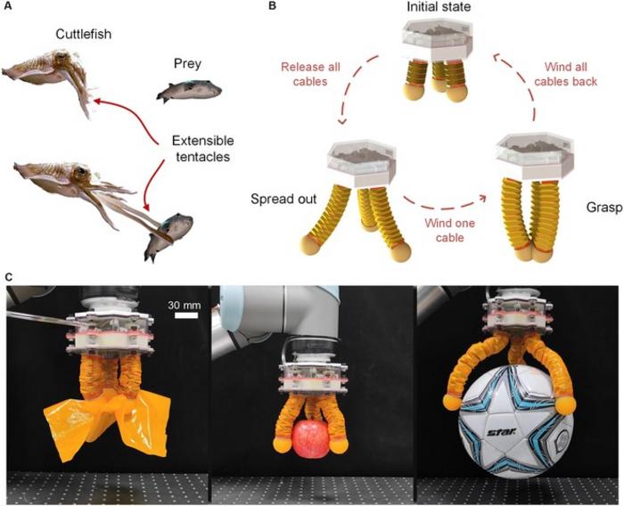 Cutting-edge robotics: Introducing the hybrid-driven origami gripper